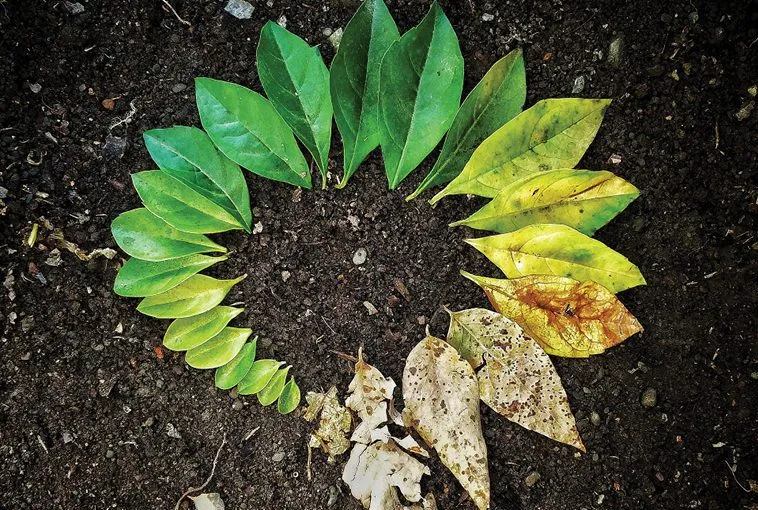 Sustainable product design