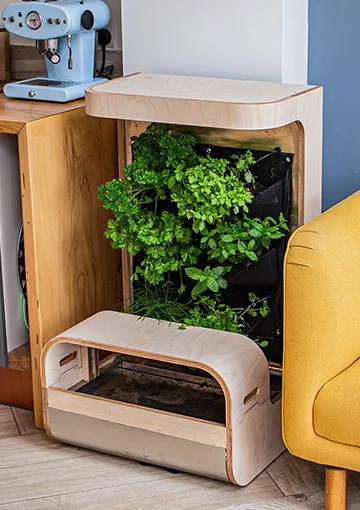 Hydroponics Altar project image