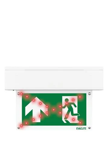 Evaclite: project image 1 of 7
