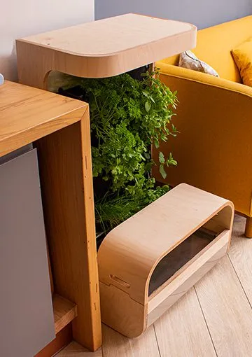 Hydroponics Altar: project image 5 of 7