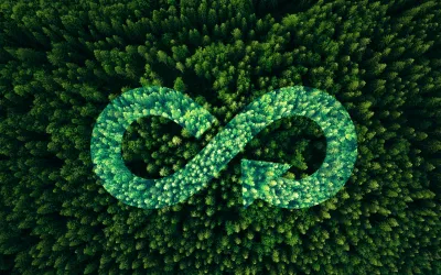 Sustainable Design